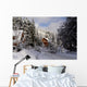 Peeking Wall Mural