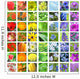 Flower Collage Rainbow Colors