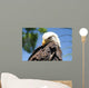 Bald Eagle 2 Wall Decal
