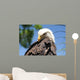 Bald Eagle 2 Wall Decal