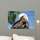 Bald Eagle 2 Wall Decal