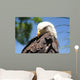 Bald Eagle 2 Wall Decal