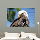 Bald Eagle 2 Wall Decal