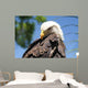 Bald Eagle 2 Wall Decal