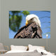 Bald Eagle 2 Wall Decal