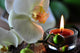 Wellness, icon Wall Mural