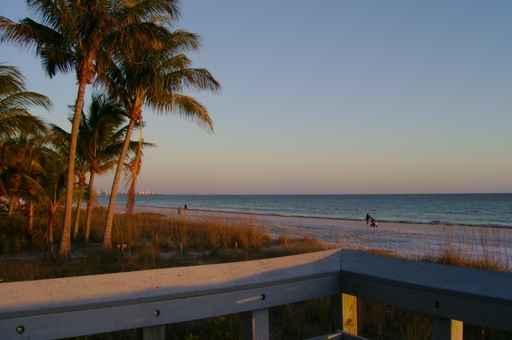 Beach and Palms Wall Decal