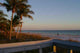 Beach and Palms Wall Decal