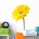 Yellow Garbera Daisies White Wall Decal