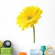 Yellow Garbera Daisies White Wall Decal