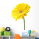 Yellow Garbera Daisies White Wall Decal