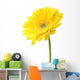 Yellow Garbera Daisies White Wall Decal