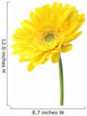 Yellow Garbera Daisies White Wall Decal
