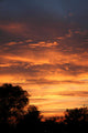 Sun Set