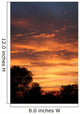 Sun Set