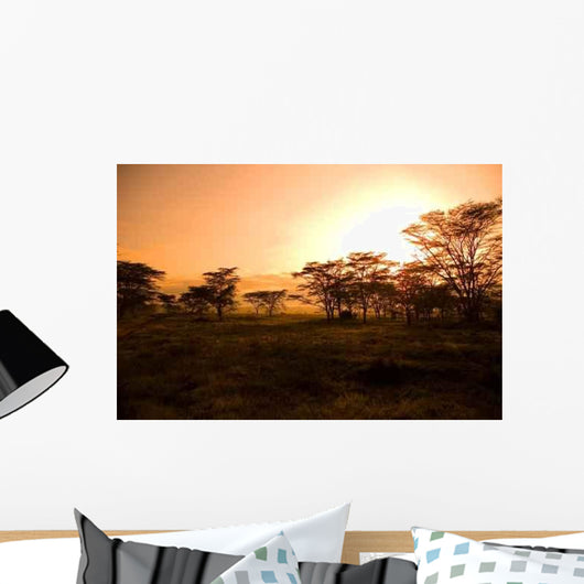 African Sunrise Wall Decal