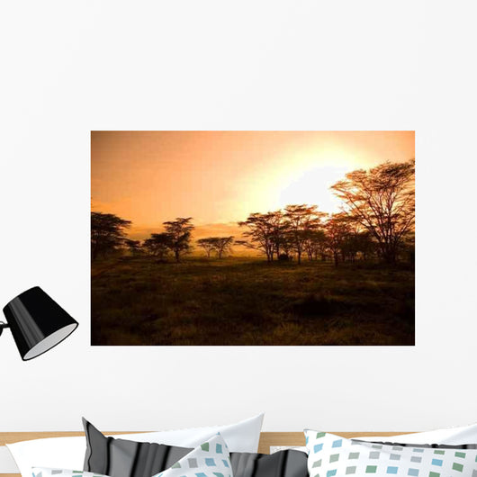 African Sunrise Wall Decal