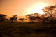 African Sunrise Wall Decal