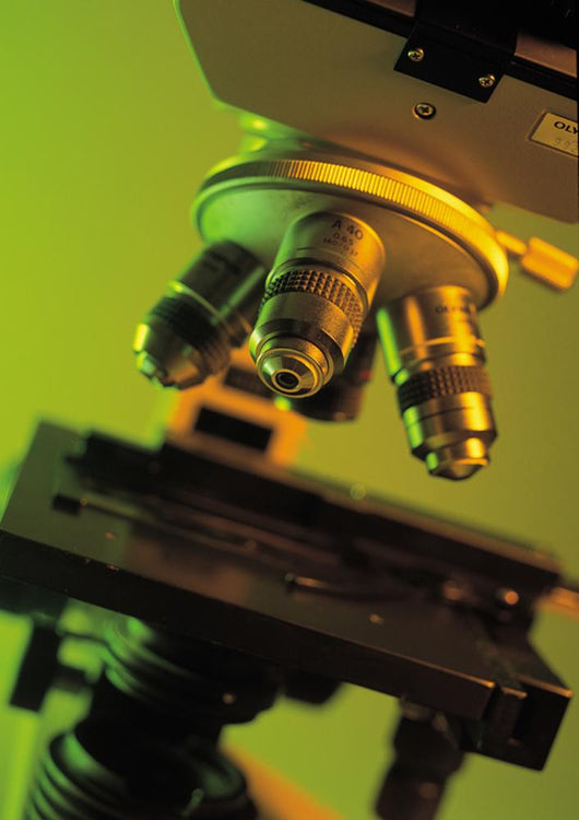 Microscope Wall Mural