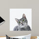 Gray Striped Cat Wall Decal