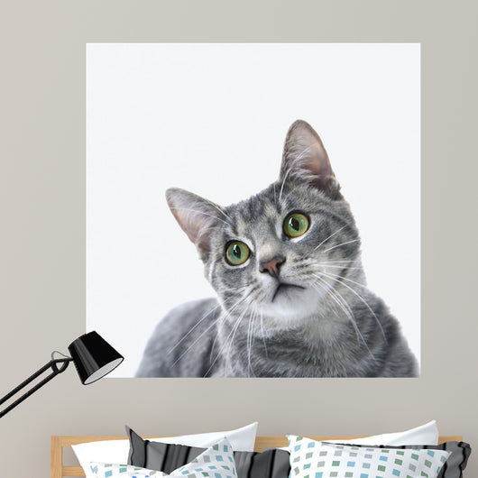 Gray Striped Cat Wall Decal