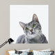 Gray Striped Cat Wall Decal