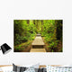 Path Temperate Rainforest Wall Mural