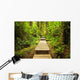 Path Temperate Rainforest Wall Mural