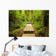 Path Temperate Rainforest Wall Mural
