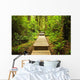 Path Temperate Rainforest Wall Mural