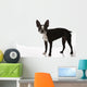 Boston Terrier Dog Wall Decal