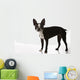 Boston Terrier Dog Wall Decal
