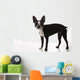 Boston Terrier Dog Wall Decal