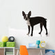Boston Terrier Dog Wall Decal