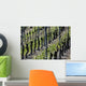 Vignoble D'alsace Wall Decal