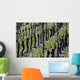 Vignoble D'alsace Wall Decal