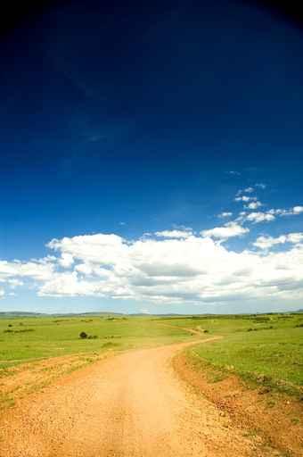 Kenya Road Wall Decal
