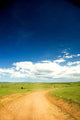 Kenya Road Wall Decal