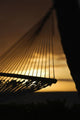 Hammock Silhouette against Ocean