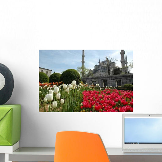 Sultanahmet Moschee Wall Decal