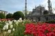 Sultanahmet Moschee Wall Decal