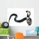 Cobra Snake Wall Decal
