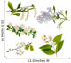 spring blossoms Wall Decal