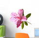 Azalea Backlit Wall Decal