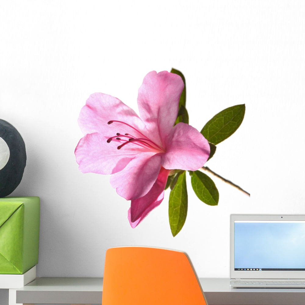 Azalea Backlit Wall Decal – Wallmonkeys