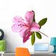Azalea Backlit Wall Decal