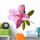 Azalea Backlit Wall Decal