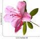Azalea Backlit Wall Decal