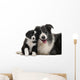 Border Collies Interacting Wall Decal