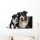 Border Collies Interacting Wall Decal